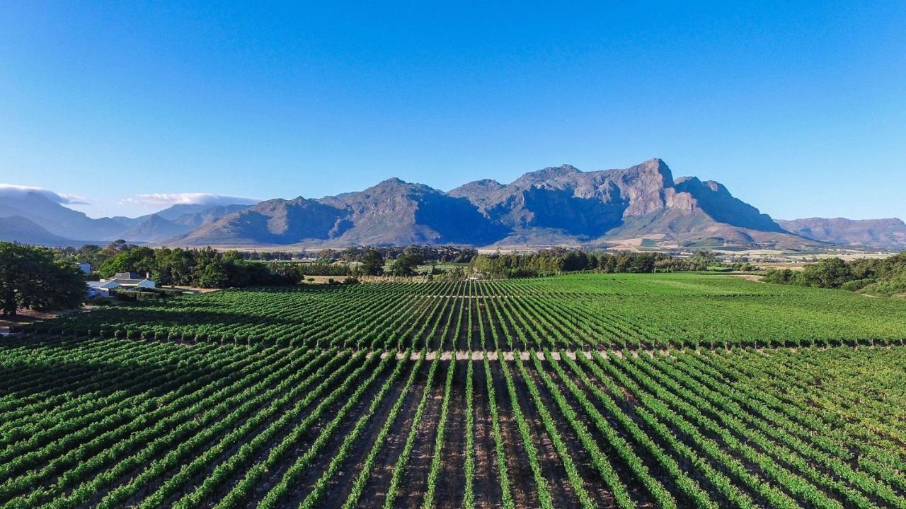 Hotel Lynx Wine Estate Franschhoek Exterior foto