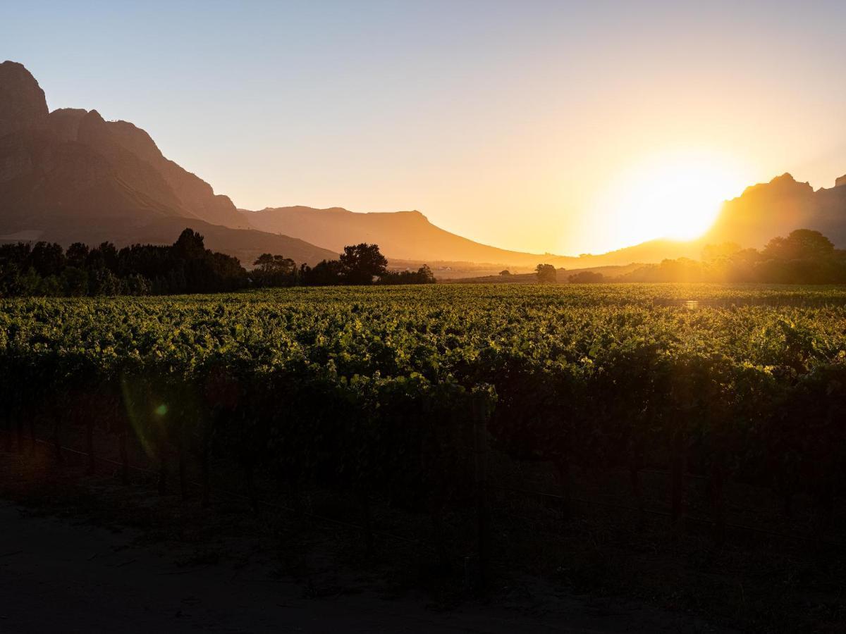 Hotel Lynx Wine Estate Franschhoek Exterior foto